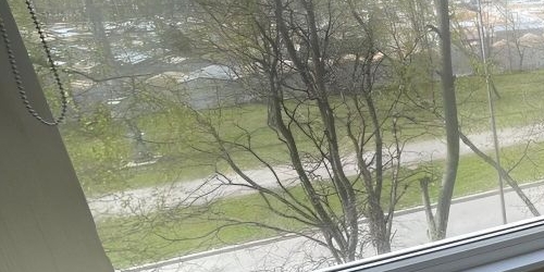 Комната улица Ольги Форш, 1/4