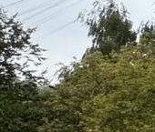 Сдать в аренду Квартиры вторичка Алтуфьевское шоссе, 28А   