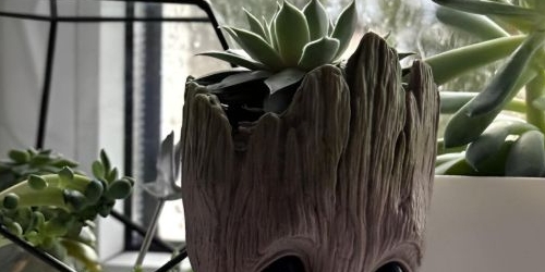 2-комн квартира 17-я Васильевского острова линия, 8Б