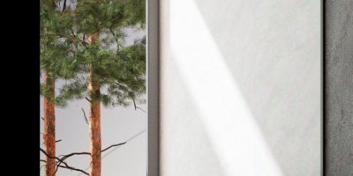 Студия Сестрорецк, проспект Тарховский, 24В