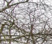 Продать Квартиры вторичка проспект Ветеранов, 38   