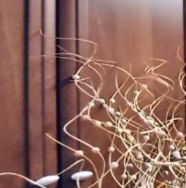 Продажа 2-комн квартиры на вторичном рынке Сергиев Посад, Озерная улица, 11 Продажа 2-комн квартиры на вторичном рынке Сергиев Посад, Озерная улица, 11