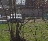 Продать Земельные участки, земля Будогощь пгт, Ракитино СНТ, 8-я линия, 1   