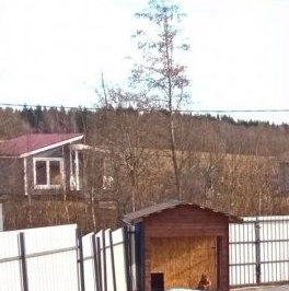 Продажа земли Сертоловский ручей СНТ