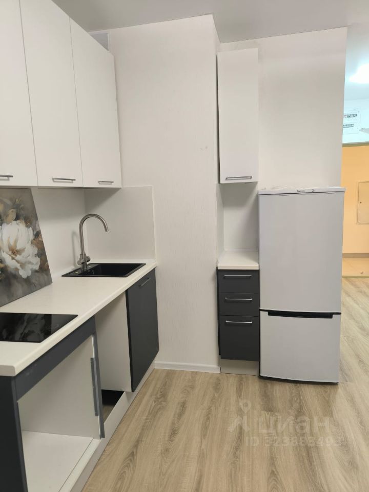 Аренда студии Мисайлово пгт, улица Героя России Филипова, 8