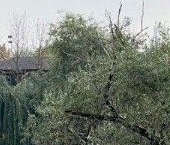 Продать Квартиры вторичка Дружинниковская улица, 15   