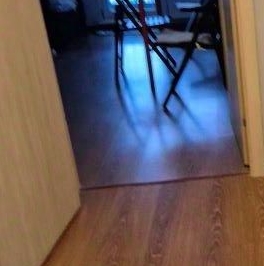 Аренда 1-комн квартиры на вторичном рынке бульвар Александра Грина, 1