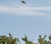 Продать Квартиры вторичка Подольское шоссе, 3   