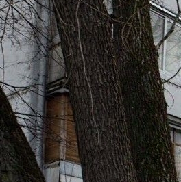 Продажа 2-комн квартиры на вторичном рынке улица Свободы, 67К2 Продажа 2-комн квартиры на вторичном рынке улица Свободы, 67К2