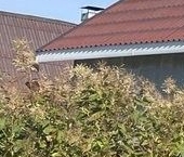 Продать Дачи, коттеджи, загородные дома пос. Чулково, улица Центральная   