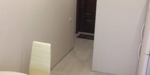 1-комн квартира Песчаный пер,  д. 8