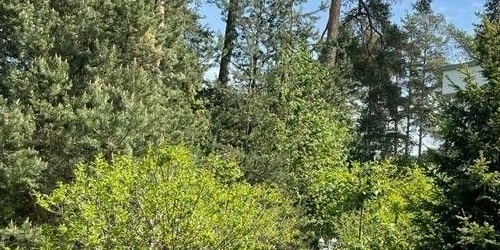 Коттедж/дом пос. Лисий Нос, Озерковская улица