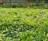 Продать Земельные участки, земля пос. Поляны, улица Цветочная   