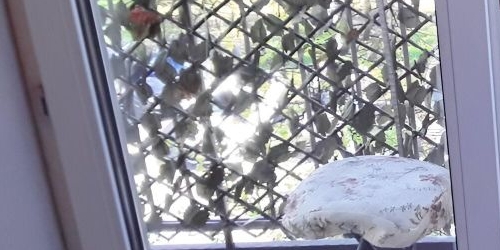 1-комн квартира Новый Зыковский проезд, 3