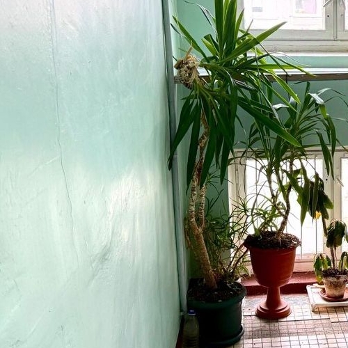 1-комн квартира Имени Морозова городской поселок, улица Спорта, 8