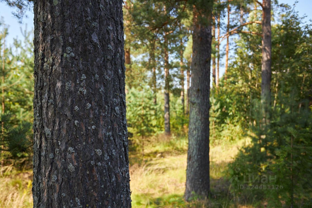 Продажа земли Ленинское кп, пос. Ленинское