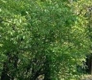 Продажа квартиры на вторичке пос. Песочный, Белоостровское шоссе, 1