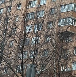 Аренда 1-комн квартиры на вторичном рынке Западный мкр, улица Дружбы, 5 Аренда 1-комн квартиры на вторичном рынке Западный мкр, улица Дружбы, 5