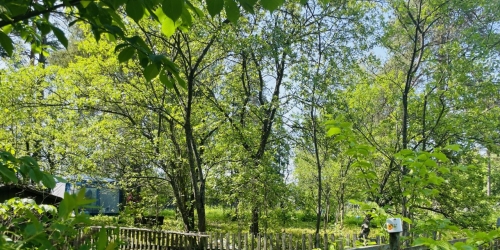 2-комн квартира Сертолово, Выборгское шоссе, 1