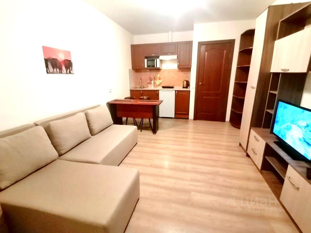 Аренда студии Мурино, проспект Авиаторов Балтики, 11/1