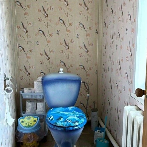 Коттедж/дом Токсово городской поселок, улица Лесовода Морозова