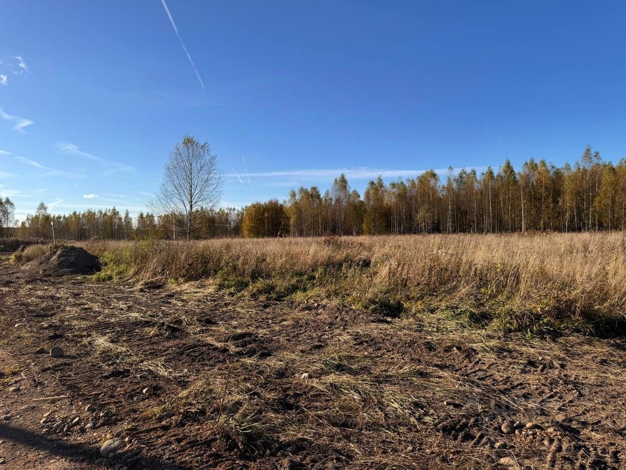 Продажа земли д. Турышкино, улица Новая