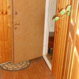 Продажа 1-комн квартиры на вторичном рынке Коломна, улица Филина,  д. 5