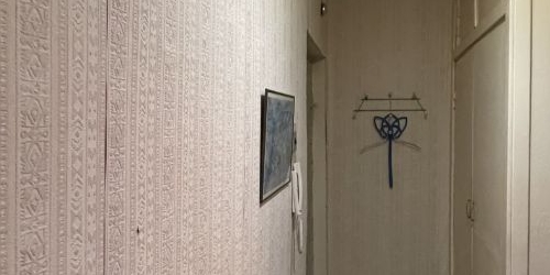 1-комн квартира Королев, проспект Королева, 2а