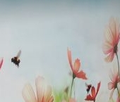 Продать Квартиры вторичка Коровинское шоссе, 21К3   