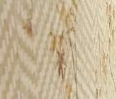 Сдать в аренду Квартиры вторичка проезд Чечерский, 44   