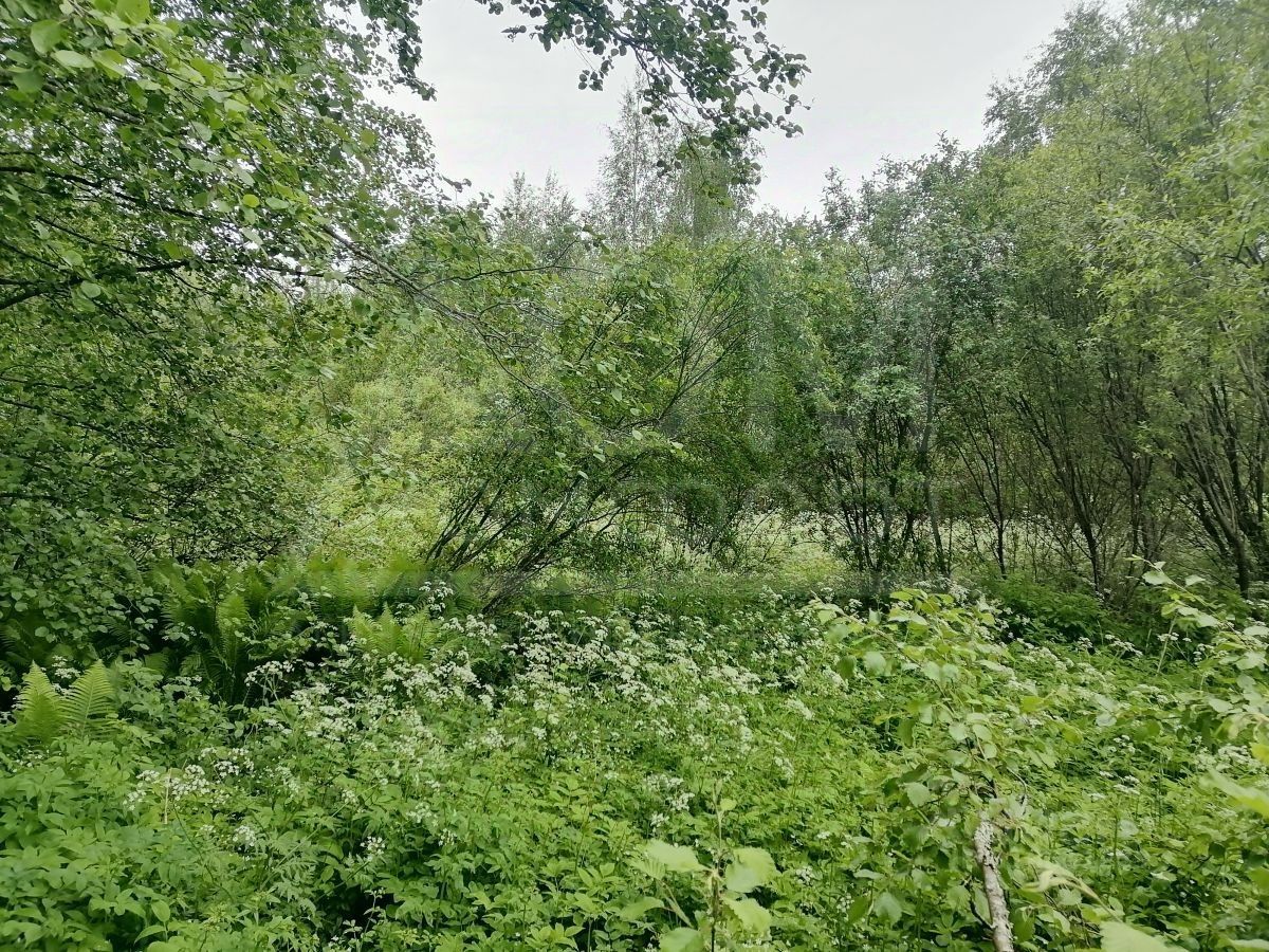 Продажа земли Северная тер., улица Карельская