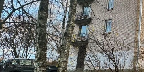 1-комн квартира пос. Металлострой, Центральная улица, 19