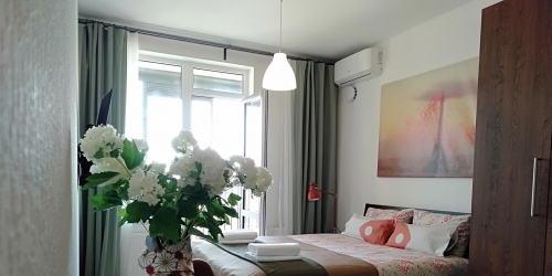 1-комн квартира Новолитовская,  д. 12