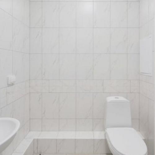 2-комн квартира Новоселье, ул Большая Балтийская,  д. 10,  к. 2
