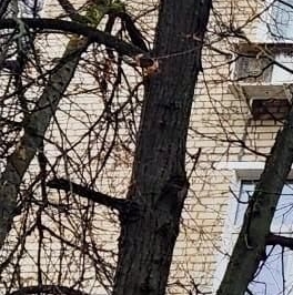 Продажа 2-комн квартиры на вторичном рынке 3-й Новомихалковский проезд, 10