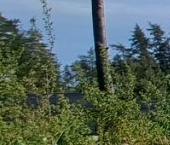 Продать Земельные участки, земля Акватория кп, пос. Пески  19 