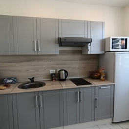 Продажа 2-комн квартиры на вторичном рынке улица Василия Петушкова,  д. 11