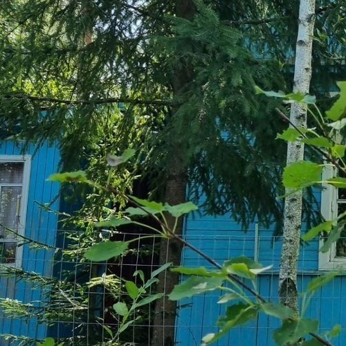 Коттедж/дом Березка СНТ, улица Новая