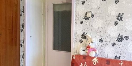 2-комн квартира Петергоф г, Разводная ул,  д. 39