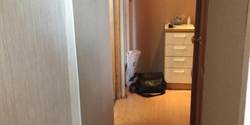 2-комн квартира Пушкин г., Саперная ул. ,  д. 51