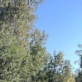 Продажа дома пос. Сосново, переулок Нагорный