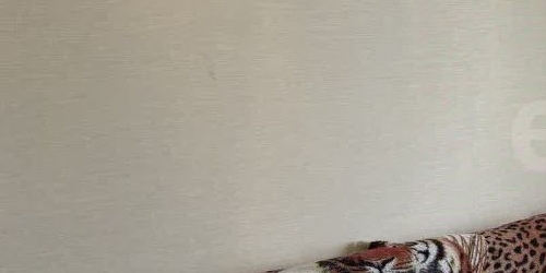 3-комн квартира улица Фабрициуса, 30