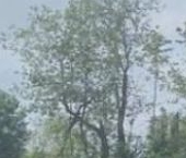 Продать Земельные участки, земля У Лукоморья СНТ   