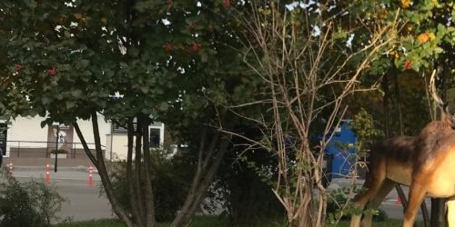 3-комн квартира Погонный проезд, 3ак2