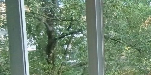 3-комн квартира улица Артюхиной, 11