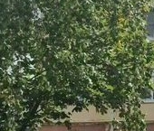 Продать Квартиры вторичка Красный Текстильщик мкр, улица Красный Текстильщик  20 