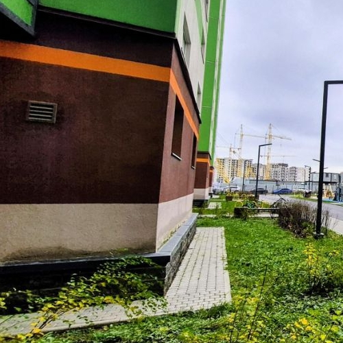 Студия пос. Шушары, проспект Старорусский, 9