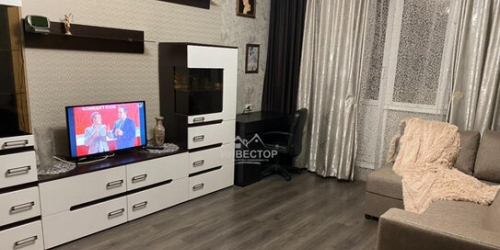 1-комн квартира ул Руднёвка,  д. 2