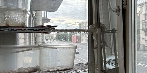 2-комн квартира улица Бабушкина, 31