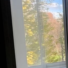 Аренда 2-комн квартиры на вторичном рынке проспект Андропова, 29К2 Аренда 2-комн квартиры на вторичном рынке проспект Андропова, 29К2